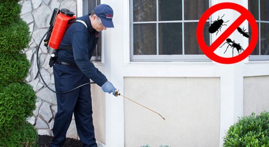 Merzifon Böcek ve Haşere İlaçlama böcek ilaçlama ve haşere kontrolü — ilaclama-tr.com